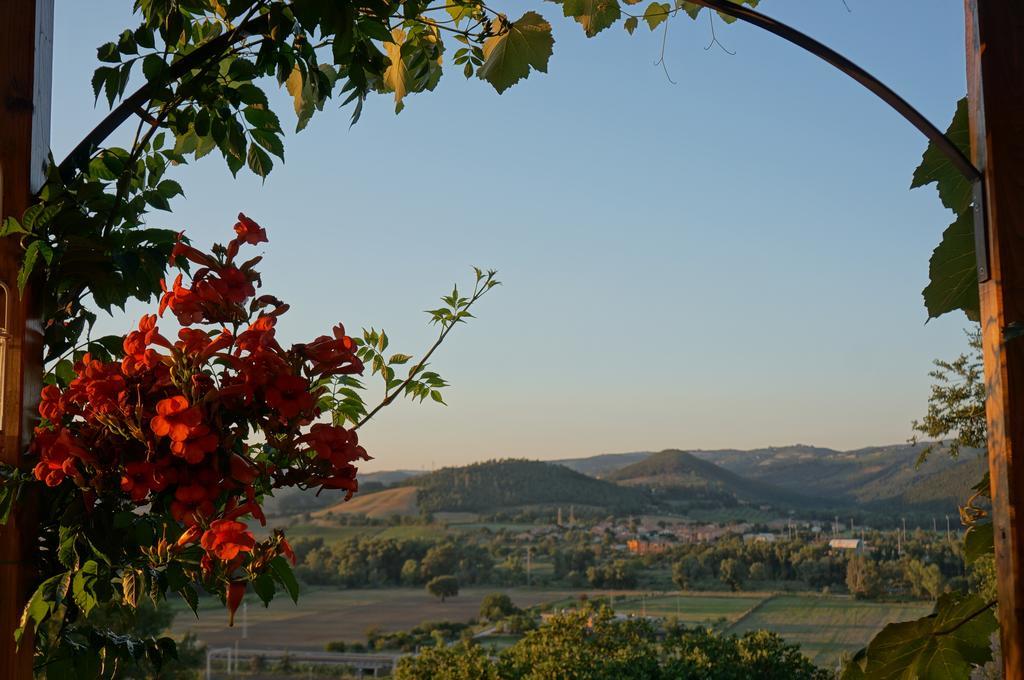 Podere Sette Piagge Orvieto Exterior photo
